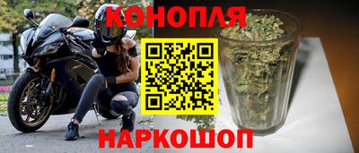 прущие грибы Мариинск