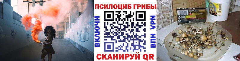 Галлюциногенные грибы ЛСД мега как войти Бутурлиновка