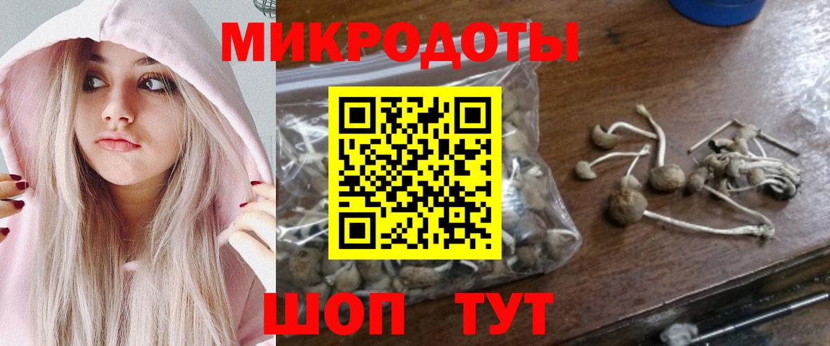 Бутурлиновка  Галлюциногенные грибы Psilocybine cubensis  Вход с VPN 